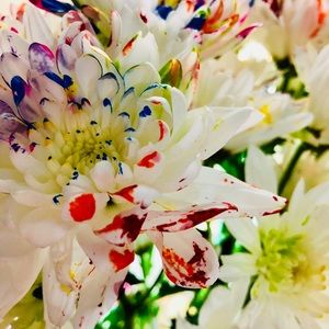 Meet your Posher, Jillian